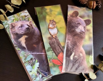 Wildlife Photography Bookmark - Bear, Fisher, Squirrel