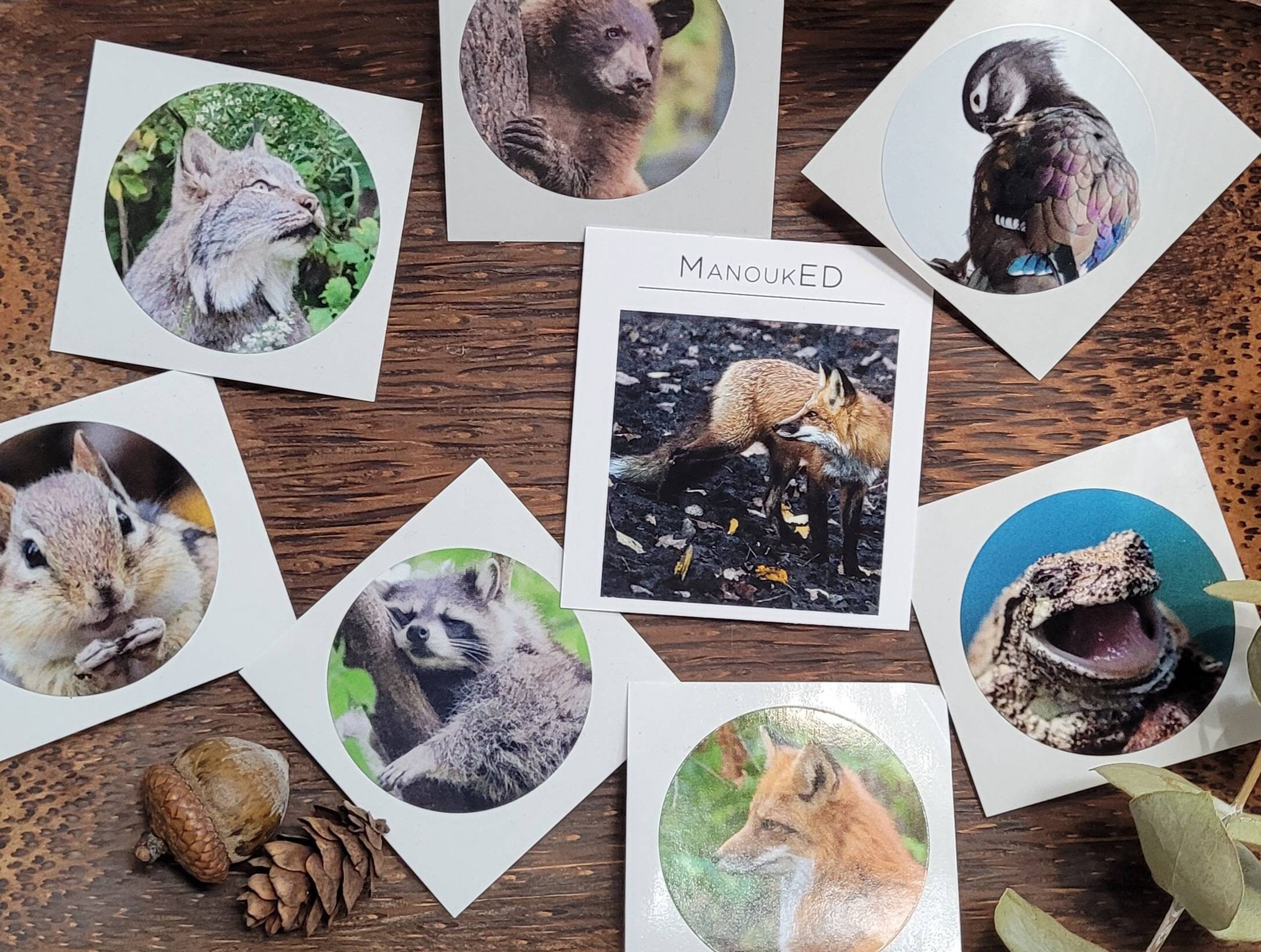 Cute Animal Zoo Puffy Sticker (1 Sheet) Cat Duck Monkey Dog Frog Rabbit  Bear Fox Pig Sheep Racoon Scrapbook Diary Deco Card Making S288