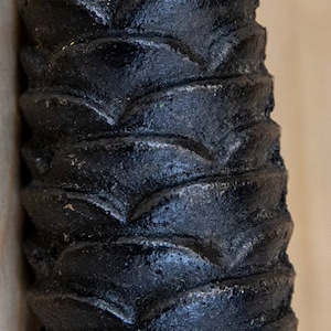 May include: A close-up of a black, textured, cone-shaped object. The object has a series of overlapping, curved, and slightly raised lines that resemble scales.