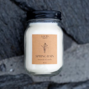 May include: A 16 oz white wax candle in a clear glass jar with a black lid. The label is tan with a black line drawing of a plant and the text: LUCID organics, SPRING RAIN, essential oil candle, 16 oz.