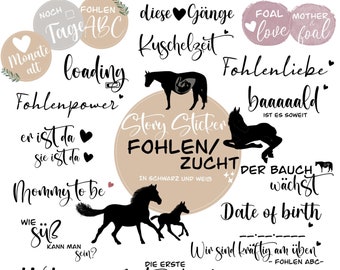 84 Instagram Story Sticker Foals| Horses, young horses, png, digital download