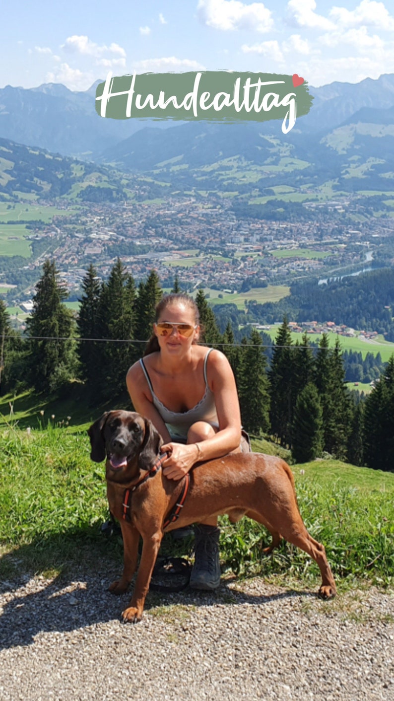 May include: A woman wearing a vest top and sunglasses is sitting on a path with a brown and black dog. The dog is wearing a red and black harness. The background is a mountain range with a town in the valley. The text "Hundalltag" is written in white on a green background with a red heart.