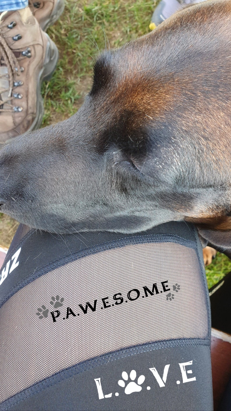 May include: Black leggings with a mesh panel featuring the text "PAW.E.S.O.M.E." and a paw print design. The leggings also have the text "L.PAW.V.E." in white.