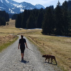 May include: A person walks a brown dog on a lead down a gravel path. The path is surrounded by green grass and trees. In the background, there are snow-capped mountains. The text "Gassi GEHEN" is superimposed on the image.