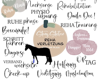 152 Story Stickers: Horse Rehab/Injuries/Clinic/Sick Leave | Instagram, Basics, Everyday Horse Life, Horse Girls, Horses, Daily Horse Life