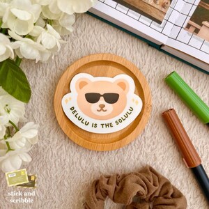 Delulu Is The Solulu Die Cut Sticker | cute sticker, waterproof sticker, laptop sticker, die cut sticker, phone sticker, cute accessories