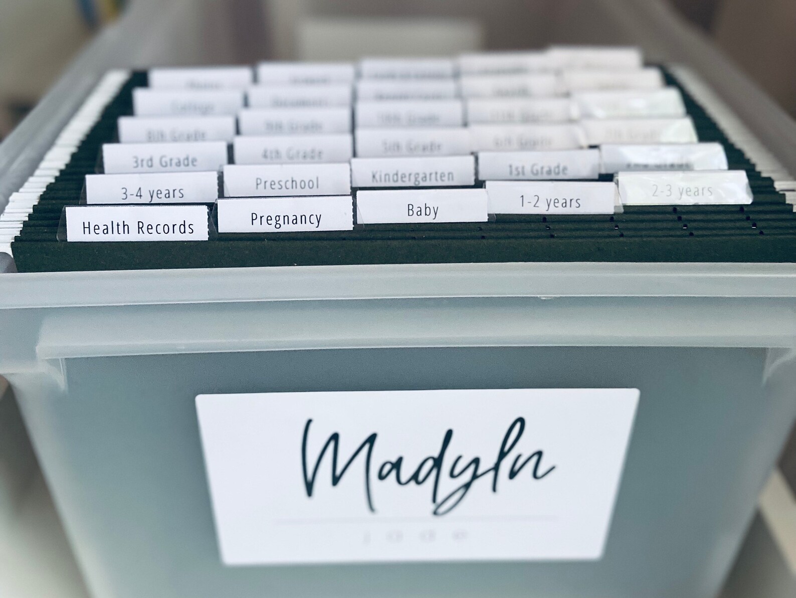 Printable Milestone Tote Labels School File Folder Labels Etsy