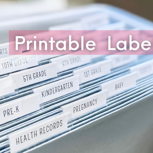 Printable Milestone tote Labels | Instant Download | School File Box Labels | Kids DIY Memory Box | Printable file tabs for School Box | PDF