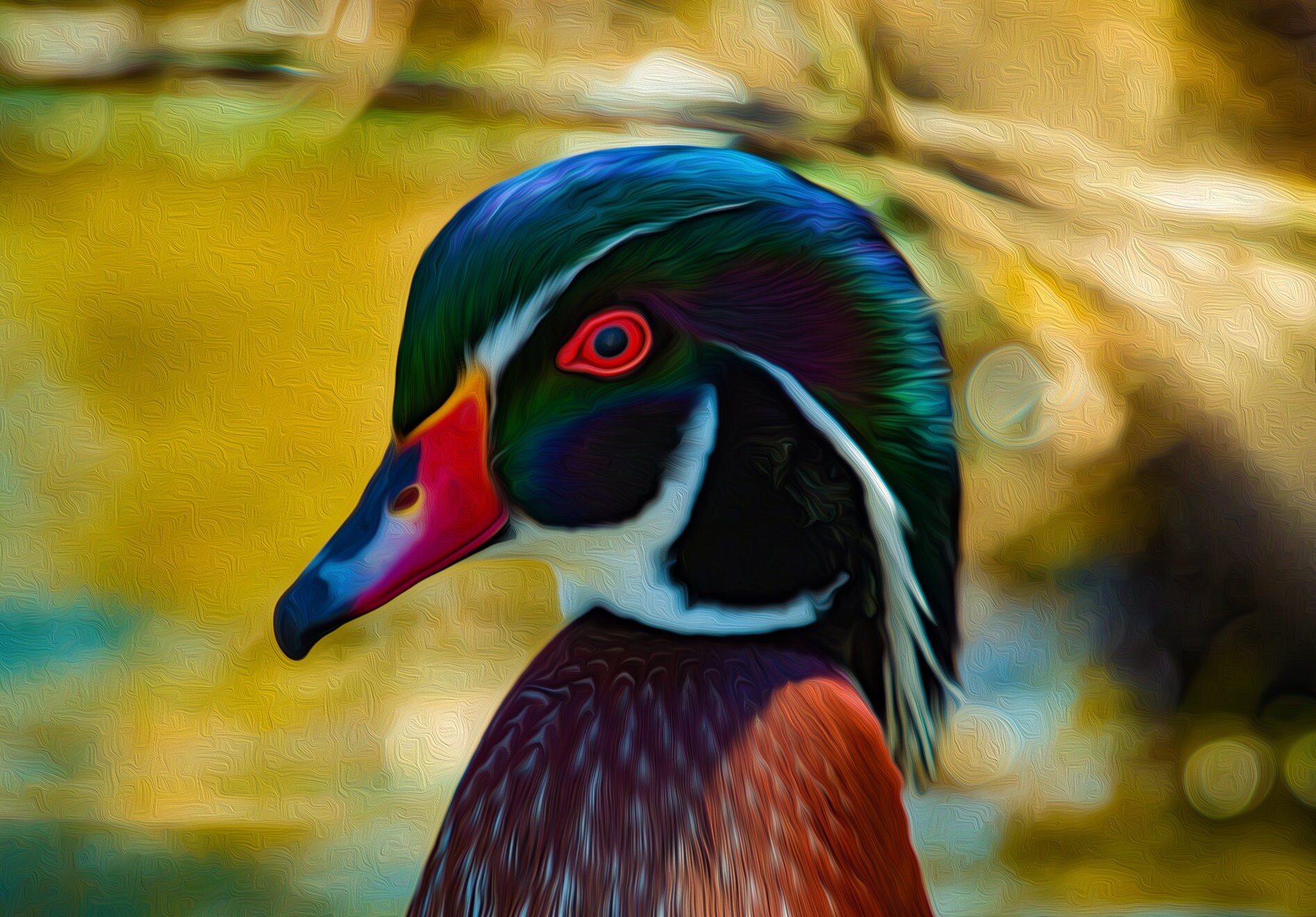 Wood Duck Digital Download Oil Painting Print Etsy