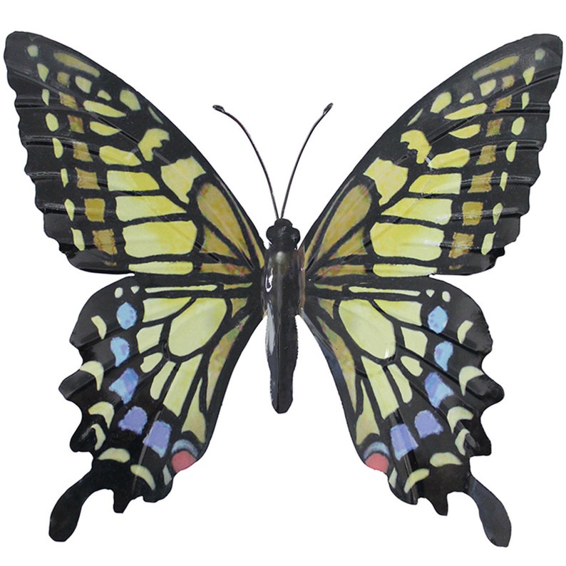 Może przedstawiać: Ozdobny motyl z rozłożonymi skrzydłami. Motyl ma czarny korpus i krawędzie skrzydeł, z ż&oacute;łtymi i czarnymi wzorami na skrzydłach. Obecne są r&oacute;wnież akcenty niebieskiego, r&oacute;żowego i białego. Motyl ma długie czułki.