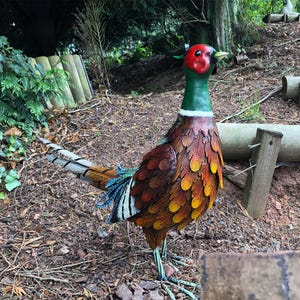 Metal Ring-Necked Pheasant Garden Ornament - Hand Crafted British Woodland Bird - Outdoor Sculpture Decoration Gift