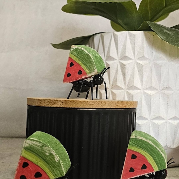 Ants Carrying Watermelon