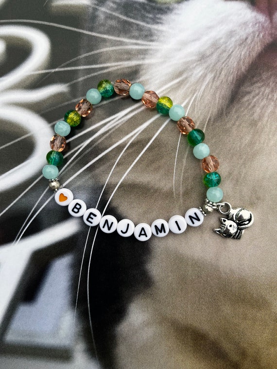 Individual Taylor Swift Cat Beaded Bracelets With Charm made to Order  Meredith Olivia Benji Benjamin 