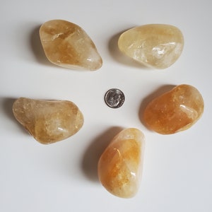 Citrine (1 item)