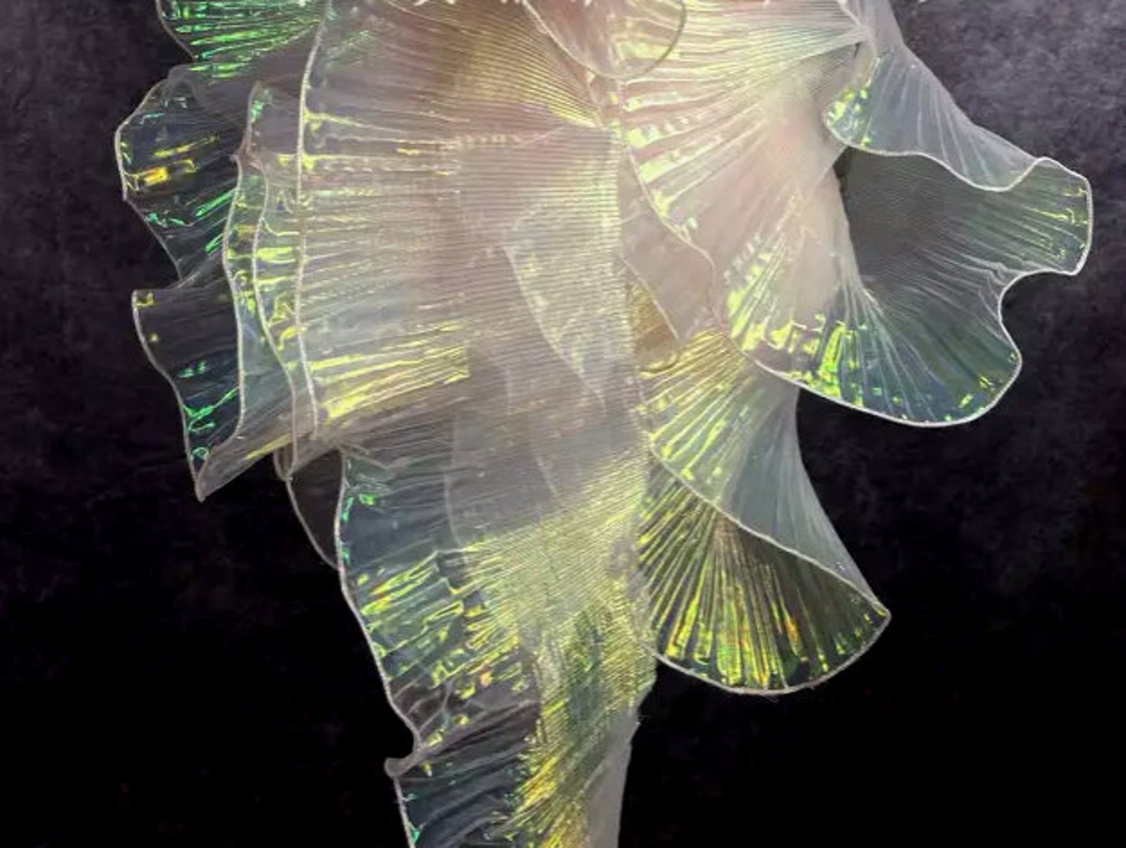 Transparent Gradient Lace Trimming Organza, Iridescent Fabric Lace ...