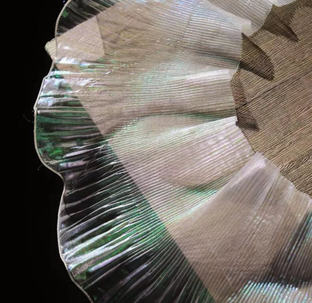 Transparent Gradient Lace Trimming Organza Iridescent Fabric - Etsy