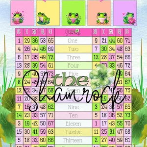 Peut inclure: Une carte de bingo colorée avec des illustrations de grenouilles et le texte "HOPELESSLY HOPTIMISTIC!". La carte de bingo présente des chiffres et le mot "Shamrock". Le haut de la carte comporte quatre carrés avec des illustrations de grenouilles.