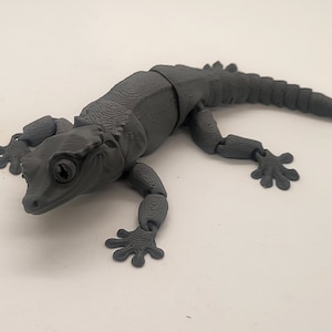 Cute Crested Gecko