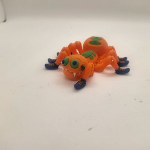 Crazy Flexi Spider!