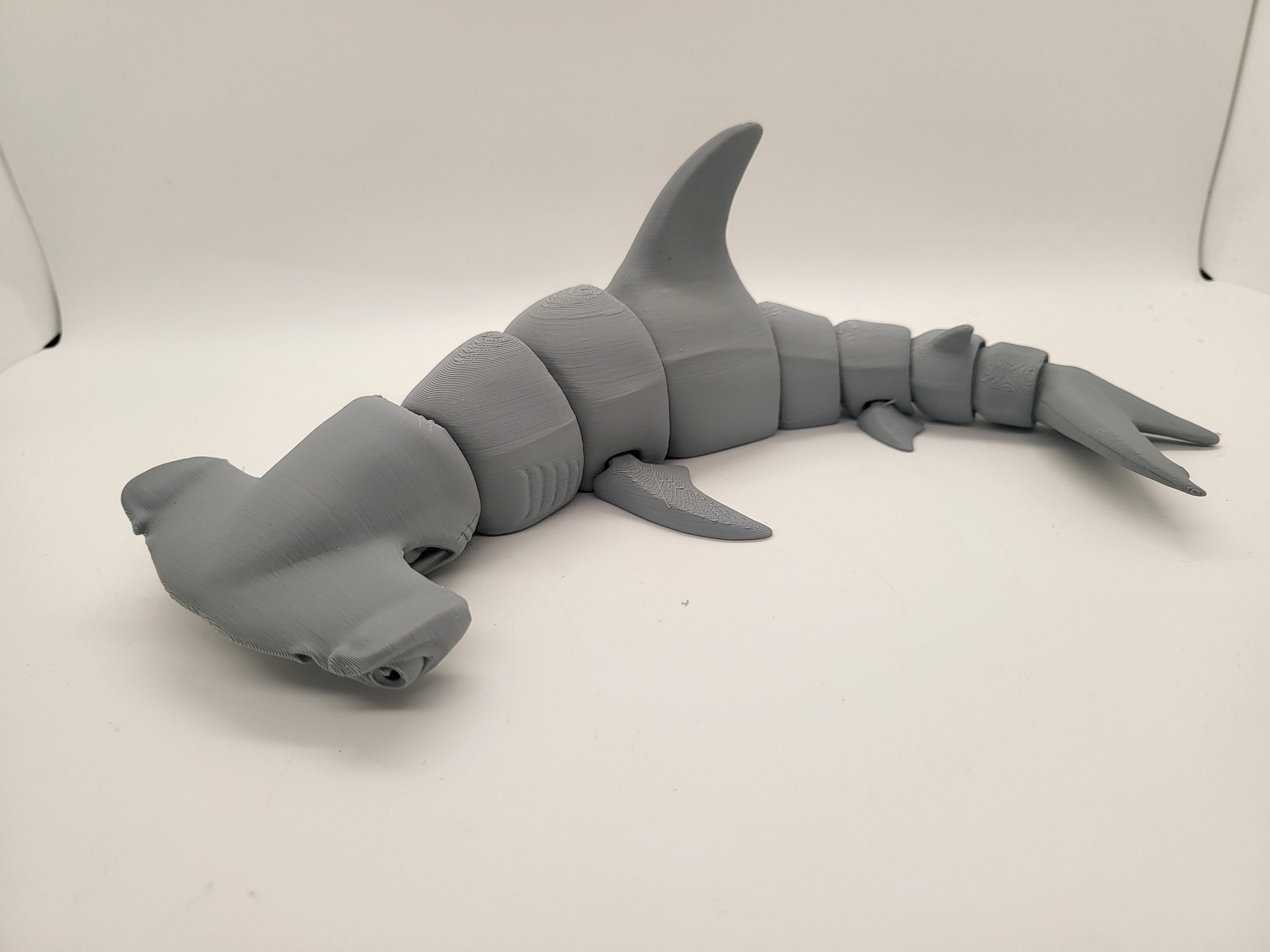 邦楽 Hammer Head Shark - BYE MY NAKED Hammer Head Shark / BYE MY NAKED | The Domestic