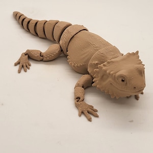 Flexi Bearded Dragon!