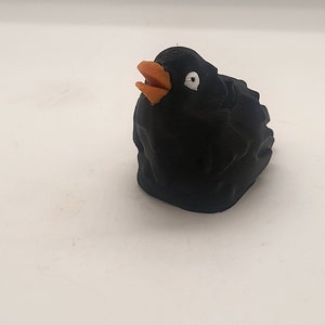 Raven &#39;Footling