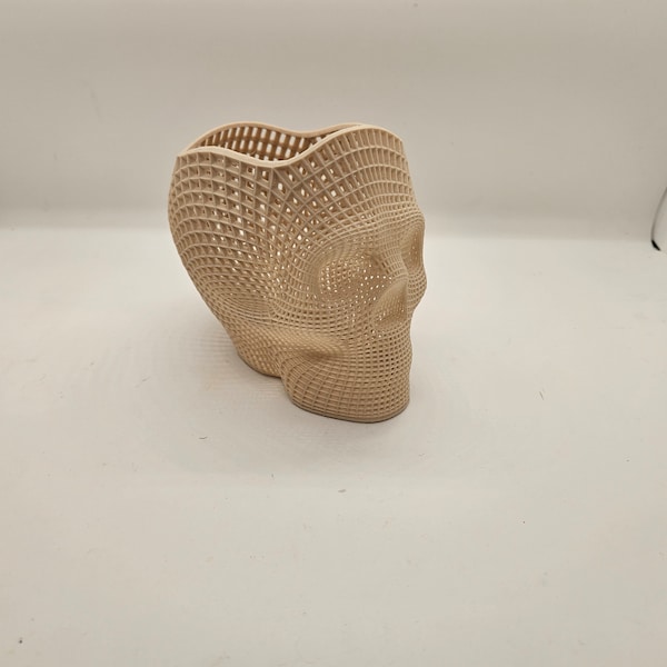 Voronoi Human Skull