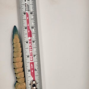 以下が含まれることがあります： 定規に沿って測定された、緑と黄色のセグメントされたおもちゃは、毛虫に似ており、約10cmの長さです。