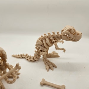 Flexi Skeleton T-Rex