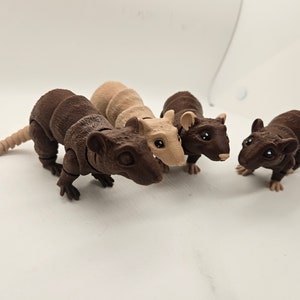 Cute Flexi Rat!