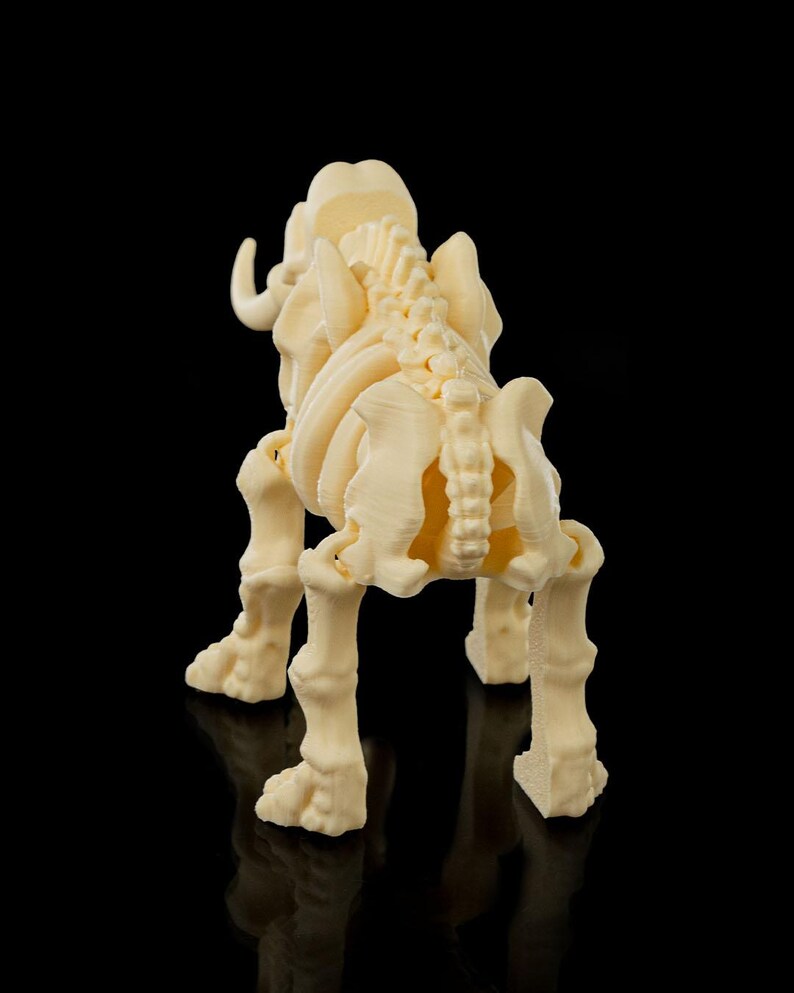 Flexi Skeleton Elephant! - Etsy