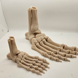 Flexi Skeleton Foot!
