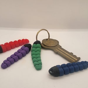 May include: A set of four colorful, segmented, worm-shaped keychains. The keychains are red, purple, green, and blue. The keychains are attached to a gold-colored key with a tag that reads "Great Smoky Mountains National Parks".