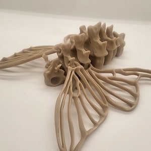 Bone Moth
