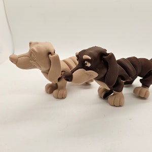 Flexi Dachshund!