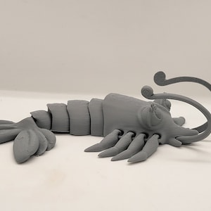 Flexi Shrimp