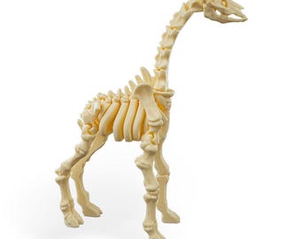 Flexi-skeletgiraf