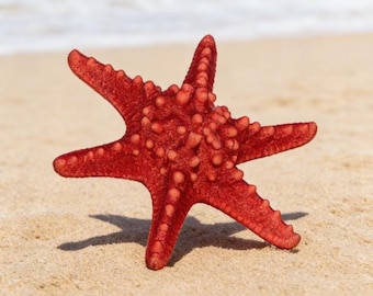 Seestern OTH130 STL-Datei für den 3D-Druck