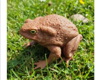 Groda-padda-modell OTH089 STL-fil för 3D-utskrift (hel/ingen delad)