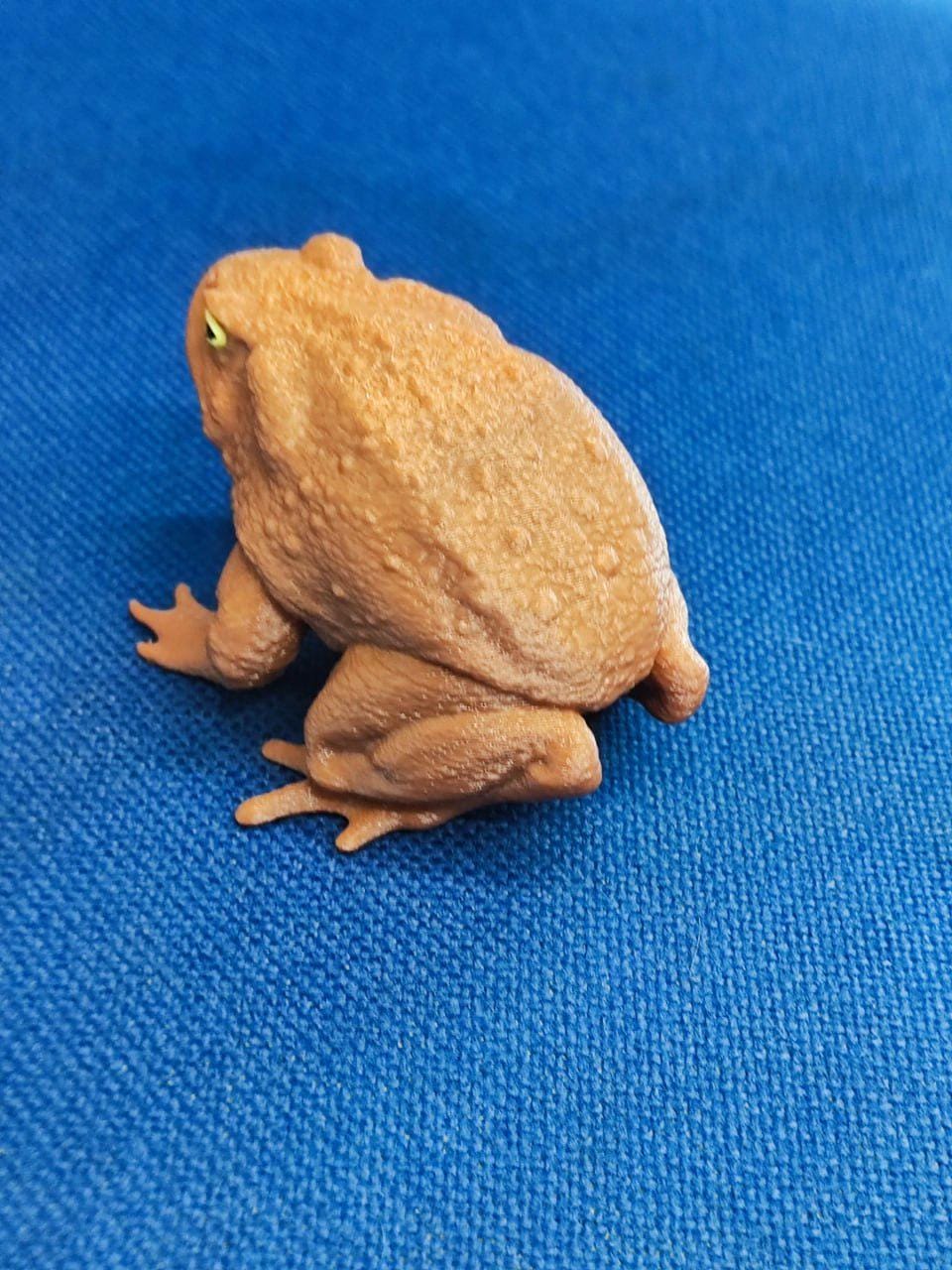 Toad Stl Frog Toad Model OTH089 STL File for 3D Printing (whole/no Split) - Etsy