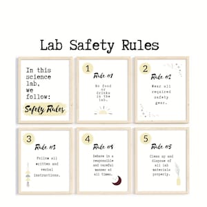 May include: Five yellow signs with black text and illustrations. Each sign has a number and a rule for lab safety. The rules are: No food or drinks in the lab, Wear all required safety gear, Follow all written and verbal instructions, Behave in a responsible and careful manner at all times, Clean up and dispose of all lab materials properly.