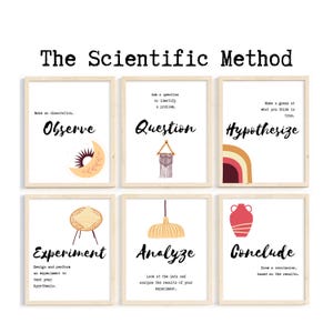 May include: A set of six illustrated posters with a light wood frame, each depicting a step in the scientific method: Observe, Question, Hypothesise, Experiment, Analyse, and Conclude. Each poster features a simple illustration and a short description of the step.