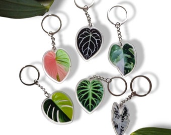 Monstera Leaf Croc Charm | Houseplant Shoe Clog Charm | Plant Parent Gift |  Accessory | - Etsy