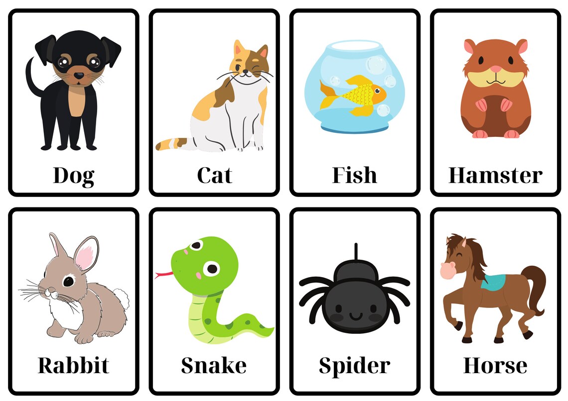 Pet Flashcards Etsy