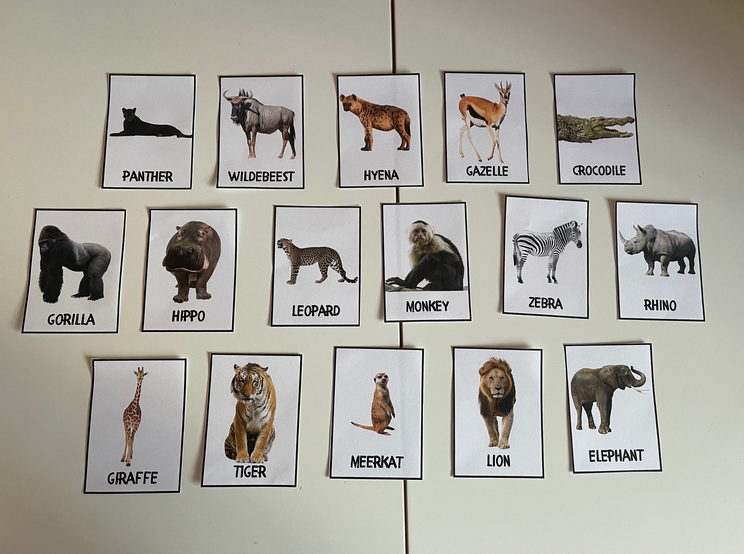 Realistic Safari Animal Flashcards Safari Animal Flashcards - Etsy