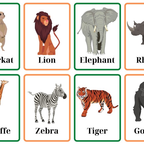 Safari Animal Flashcards - Etsy UK Safari Animal Flashcards - Etsy UK