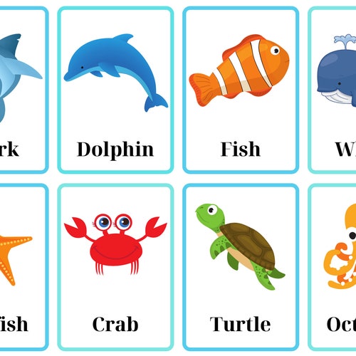 Sea Animal Flashcards - Etsy Singapore Sea Animal Flashcards - Etsy Singapore