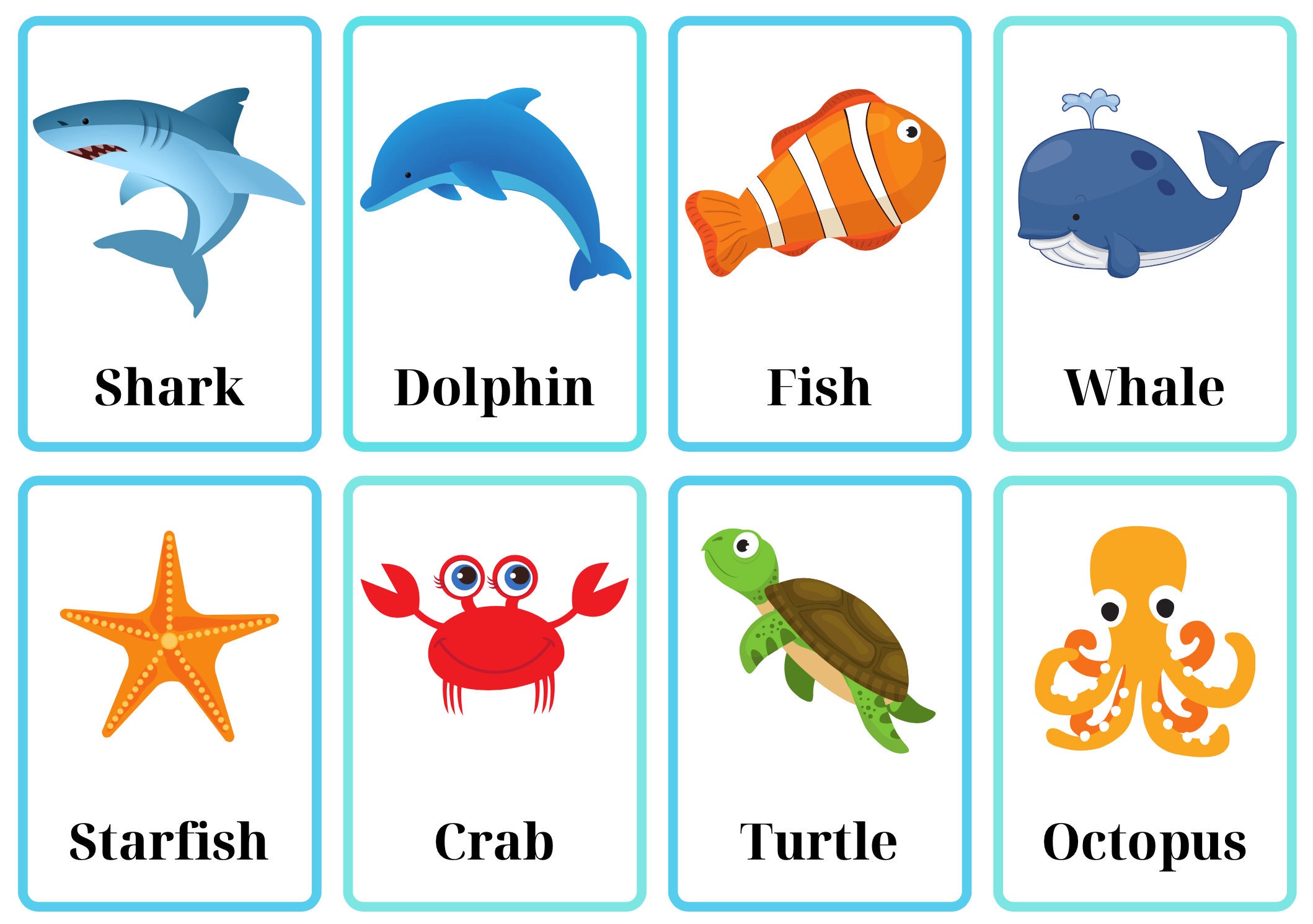 sea-animal-flashcards-etsy