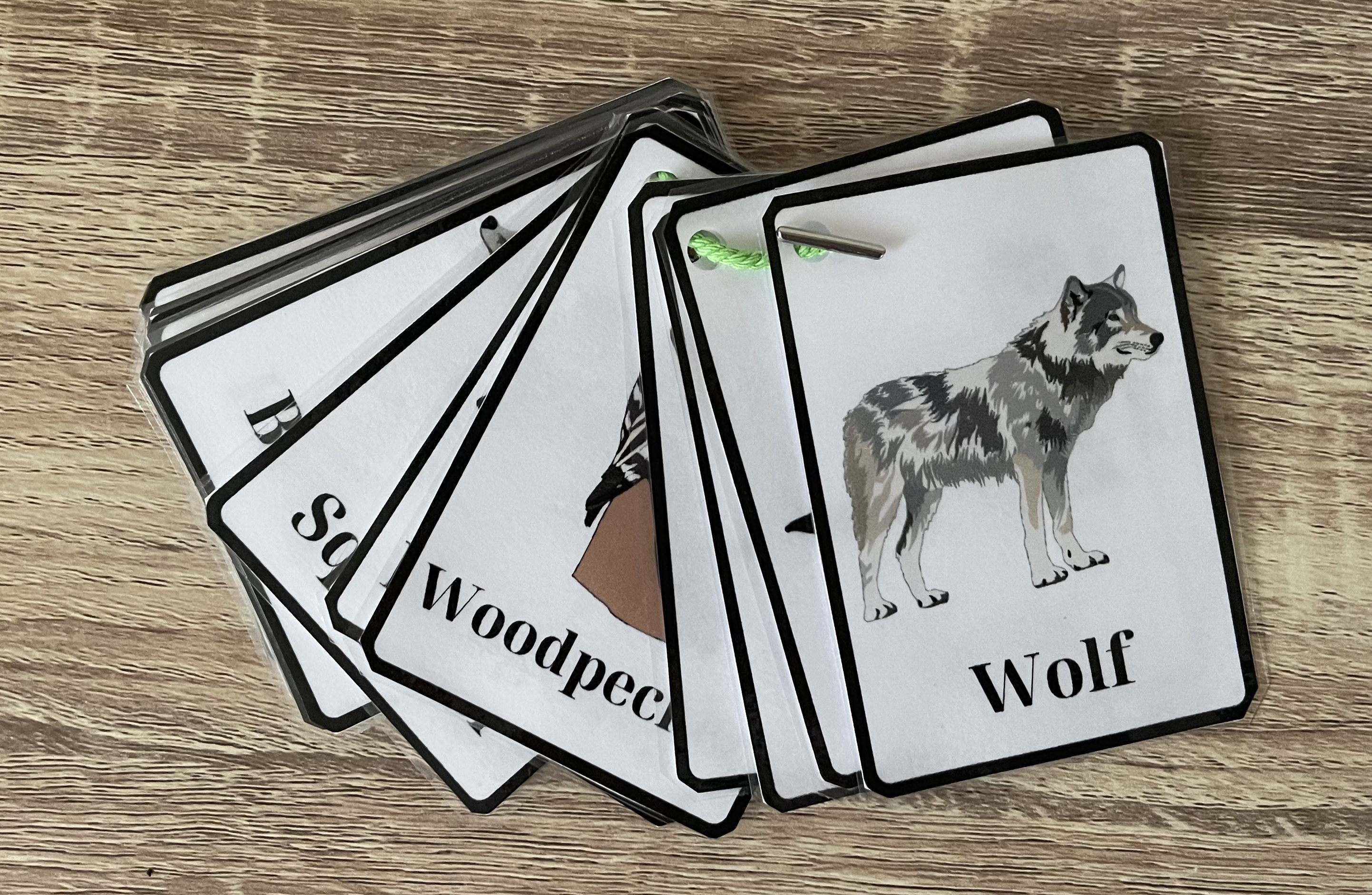 Woodland Animal Flashcards Etsy