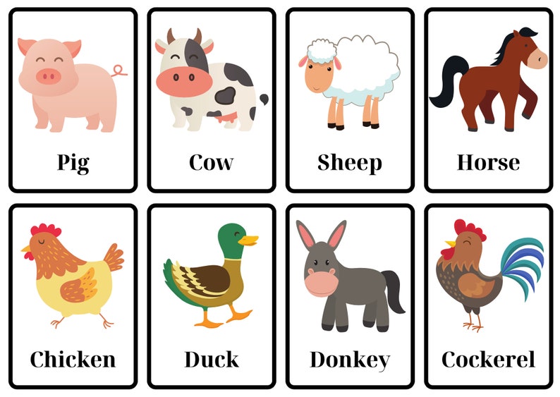 Farm Animal Flashcards - Etsy